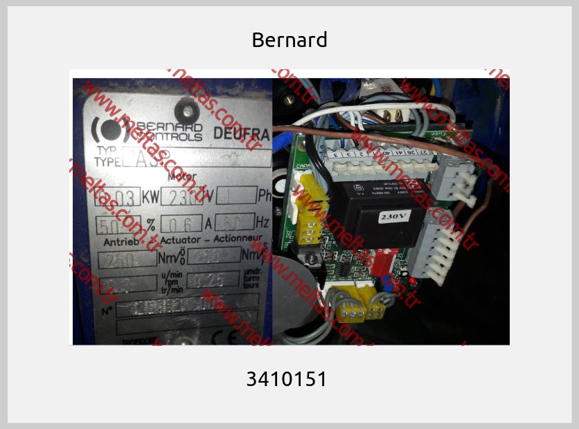 Bernard - 3410151 