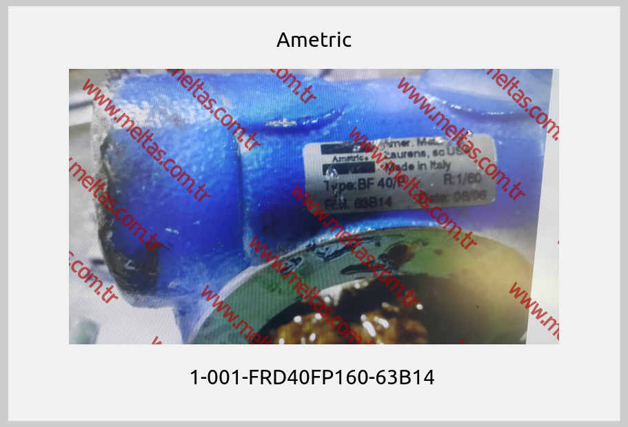 Ametric - 1-001-FRD40FP160-63B14 