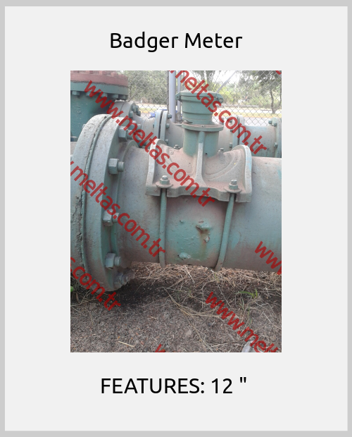 Badger Meter - FEATURES: 12 " 