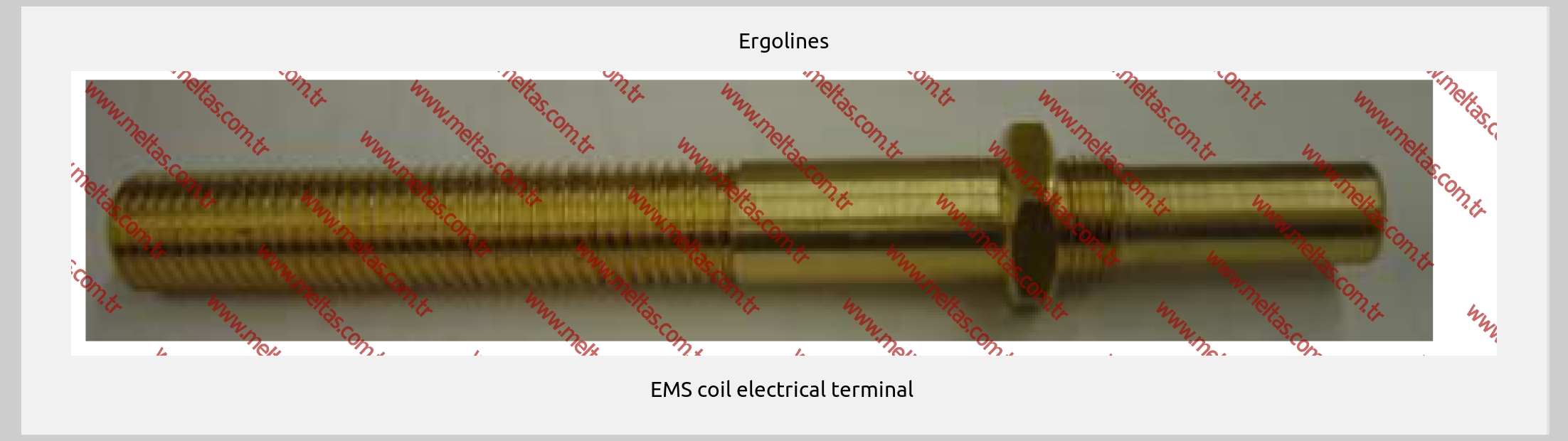 Ergolines-EMS coil electrical terminal 