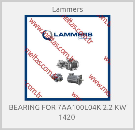 Lammers - BEARING FOR 7AA100L04K 2.2 KW 1420 
