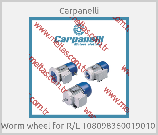 Carpanelli - Worm wheel for R/L 108098360019010 