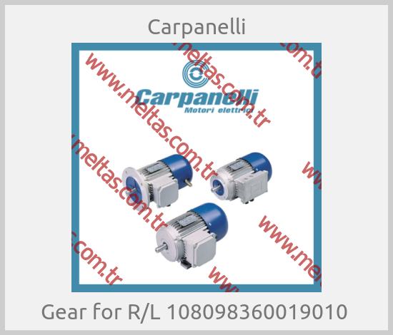 Carpanelli-Gear for R/L 108098360019010 