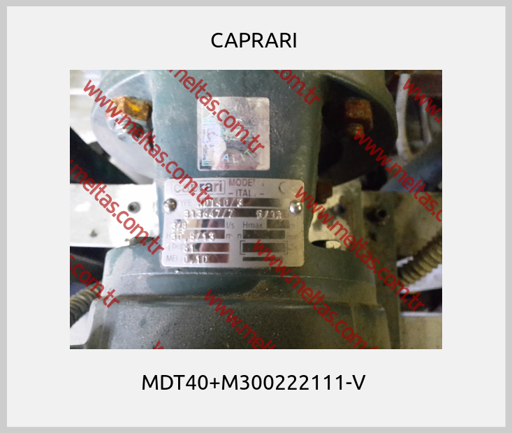 CAPRARI  - MDT40+M300222111-V 