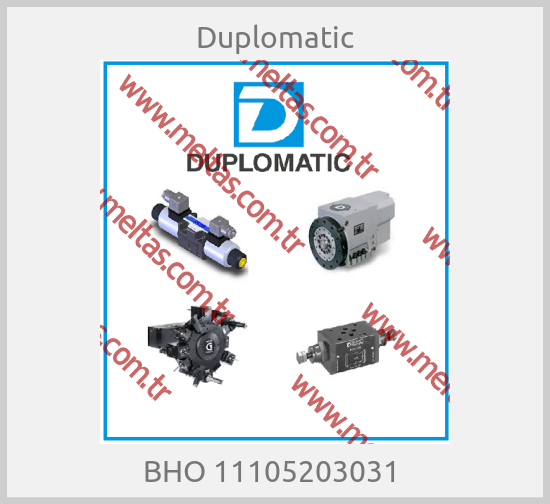 Duplomatic-BHO 11105203031 