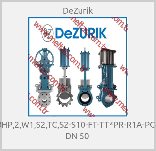 DeZurik-BHP,2,W1,S2,TC,S2-S10-FT-TT*PR-R1A-PC4  DN 50 