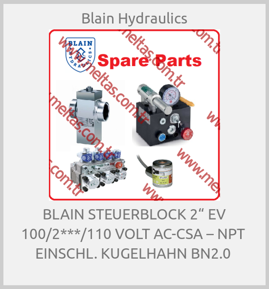 Blain Hydraulics - BLAIN STEUERBLOCK 2“ EV 100/2***/110 VOLT AC-CSA – NPT  EINSCHL. KUGELHAHN BN2.0 