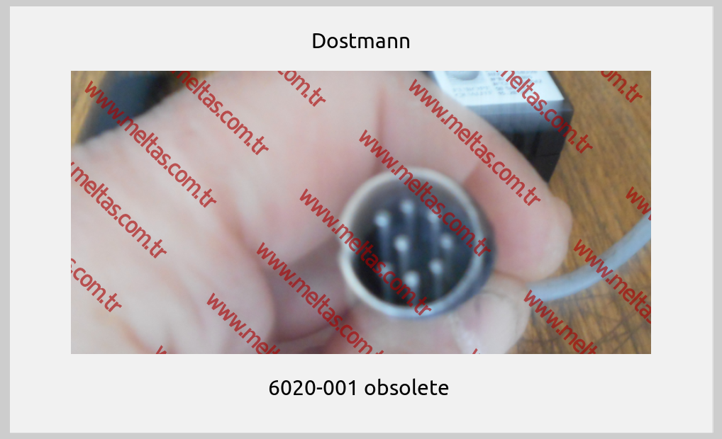 Dostmann - 6020-001 obsolete 