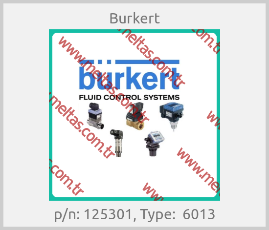 Burkert - p/n: 125301, Type:  6013