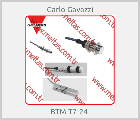 Carlo Gavazzi - BTM-T7-24 