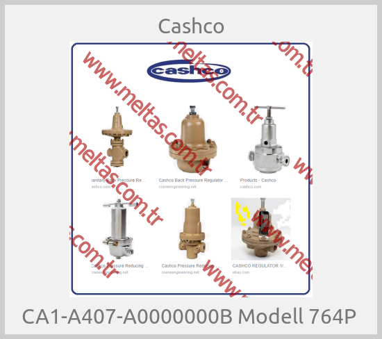 Cashco-CA1-A407-A0000000B Modell 764P 