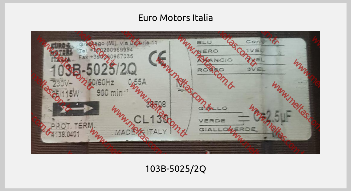 Euro Motors Italia-103B-5025/2Q