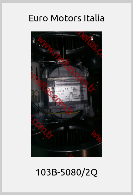 Euro Motors Italia-103B-5080/2Q