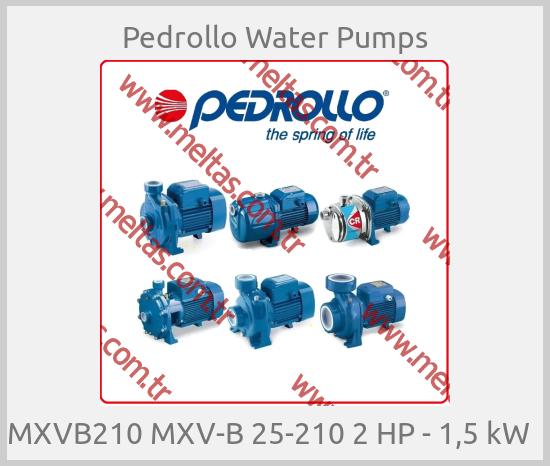 Pedrollo Water Pumps - MXVB210 MXV-B 25-210 2 HP - 1,5 kW  