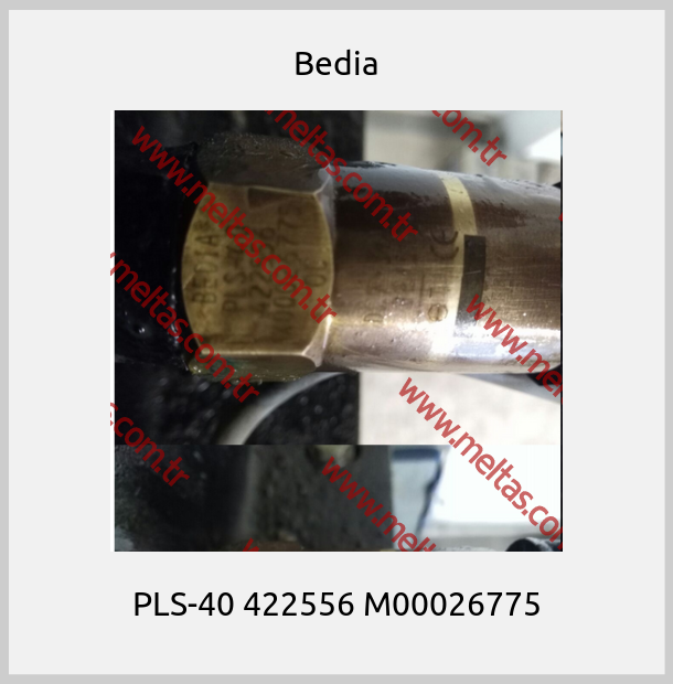Bedia - PLS-40 422556 M00026775