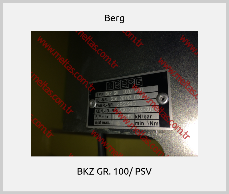 Berg-BKZ GR. 100/ PSV