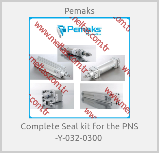 Pemaks - Complete Seal kit for the PNS -Y-032-0300 