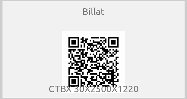 Billat - CTBX 30X2500X1220