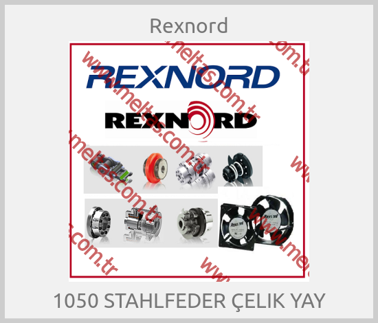 Rexnord - 1050 STAHLFEDER ÇELIK YAY