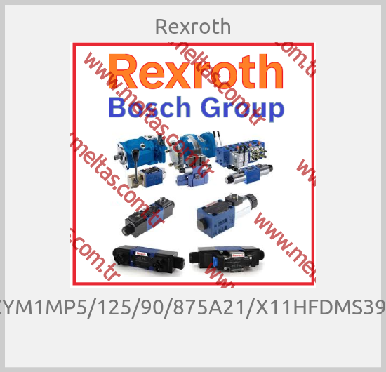 Rexroth - CYM1MP5/125/90/875A21/X11HFDMS392 