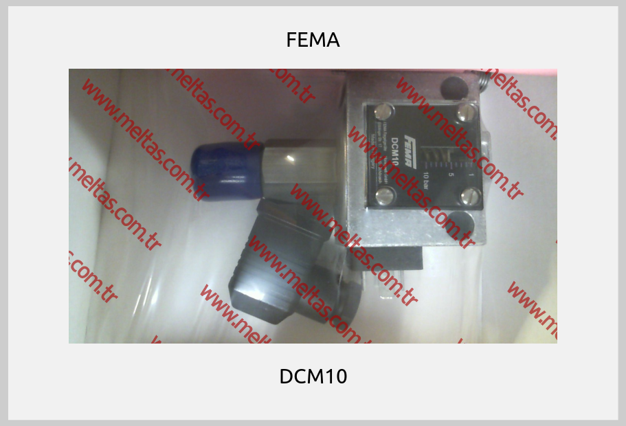 FEMA - DCM10
