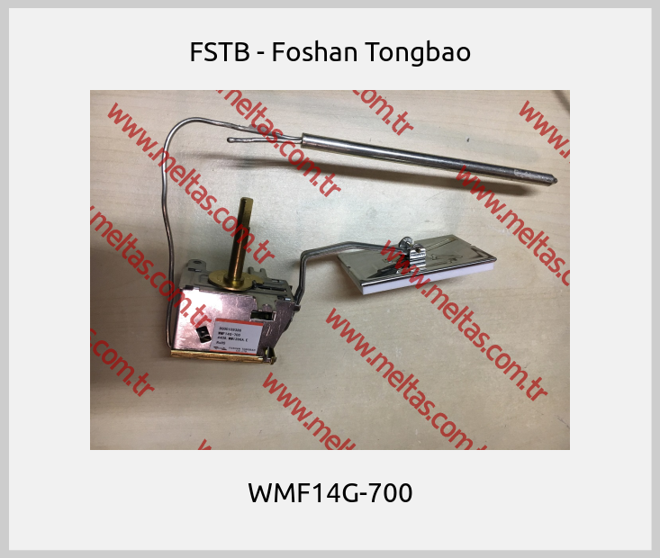 FSTB - Foshan Tongbao-WMF14G-700