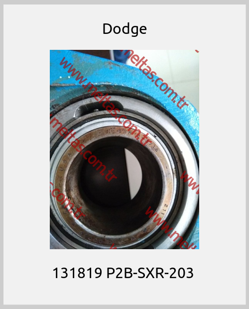 Dodge-131819 P2B-SXR-203 