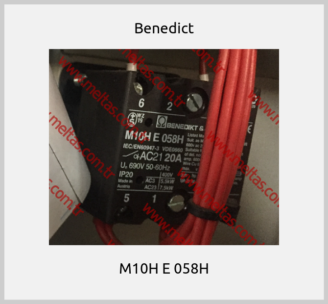 Benedict-M10H E 058H