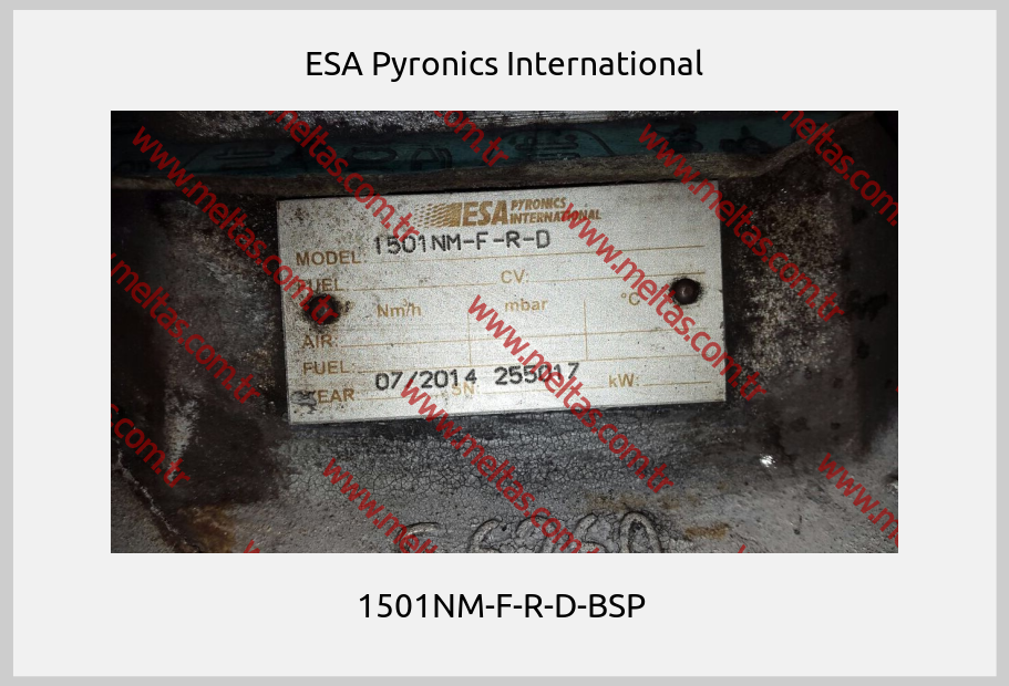 ESA Pyronics International - 1501NM-F-R-D-BSP 