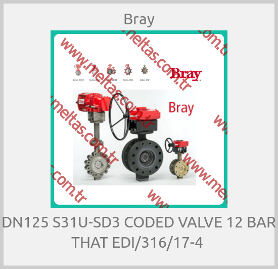 Bray-DN125 S31U-SD3 CODED VALVE 12 BAR THAT EDI/316/17-4 