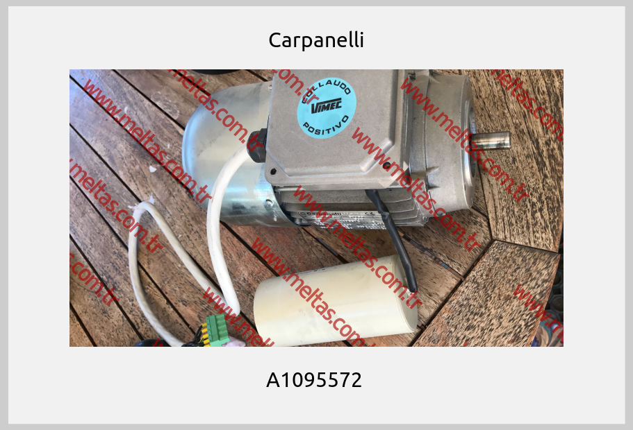Carpanelli - A1095572 