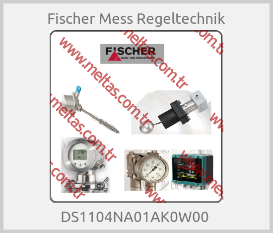 Fischer Mess Regeltechnik-DS1104NA01AK0W00 