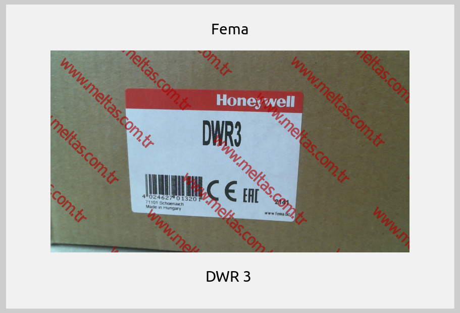 Fema - DWR 3 