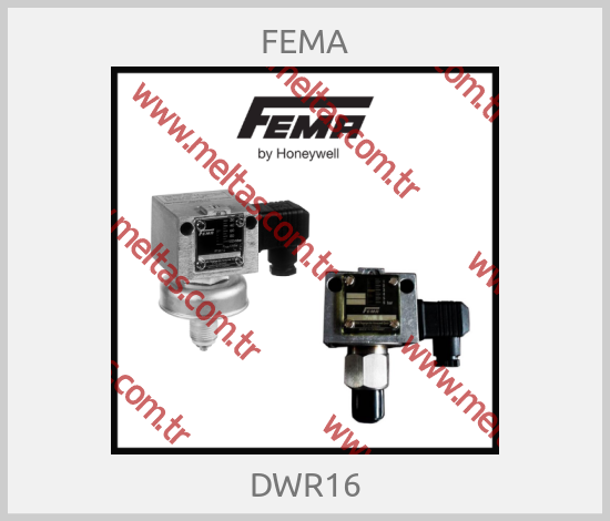 FEMA - DWR16