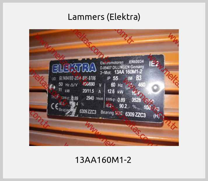 Lammers (Elektra) - 13AA160M1-2 