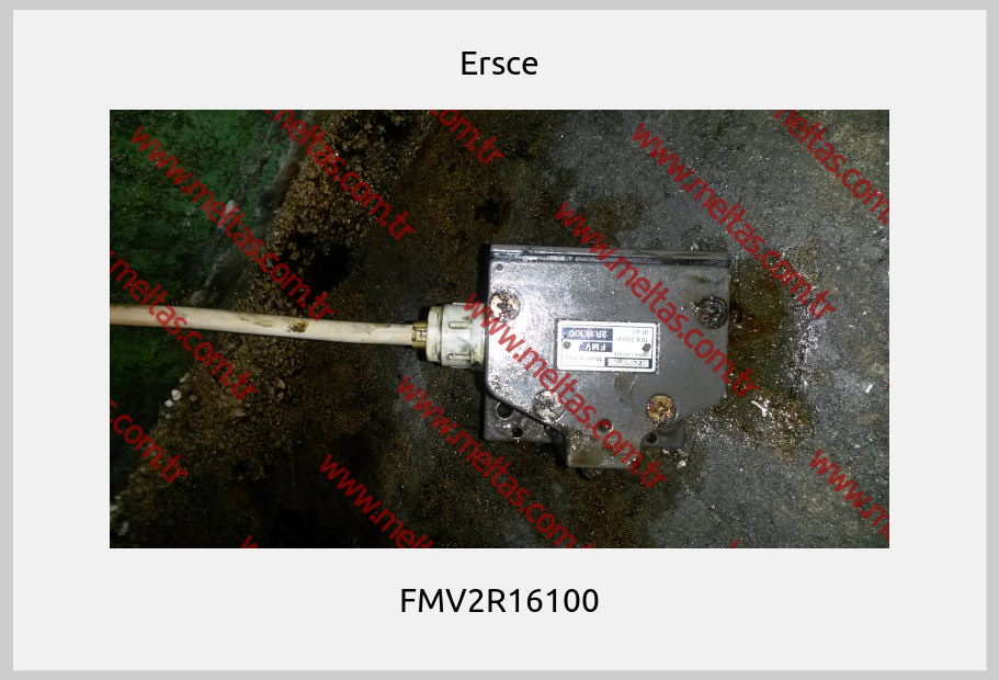Ersce - FMV2R16100