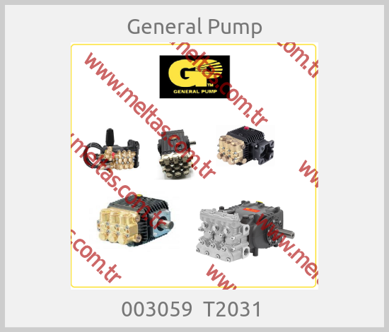 General Pump - 003059  T2031 