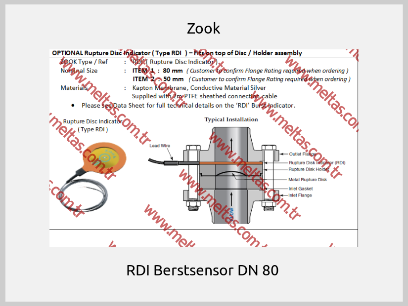 Zook - RDI Berstsensor DN 80 