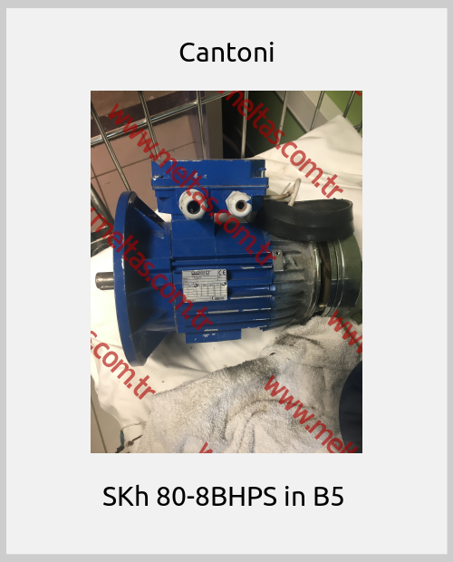 Cantoni - SKh 80-8BHPS in B5 