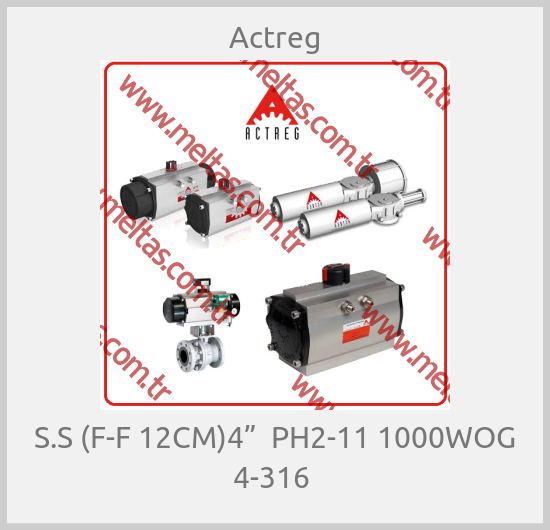 Actreg - S.S (F-F 12CM)4”  PH2-11 1000WOG 4-316 