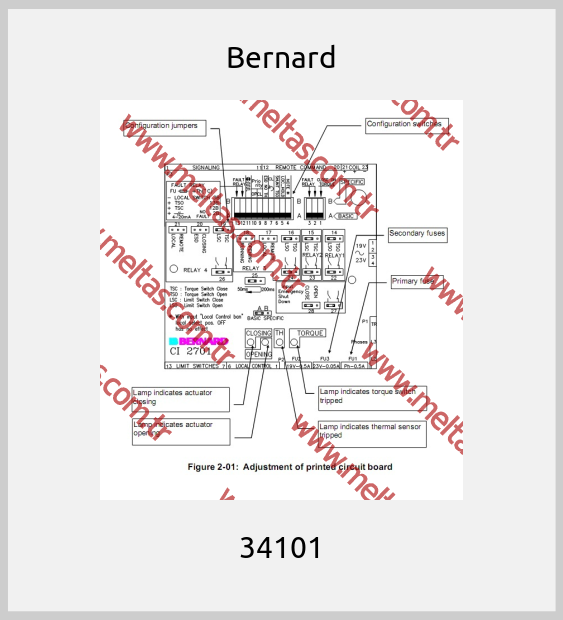 Bernard-34101