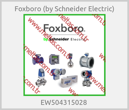 Foxboro (by Schneider Electric)-EW504315028 