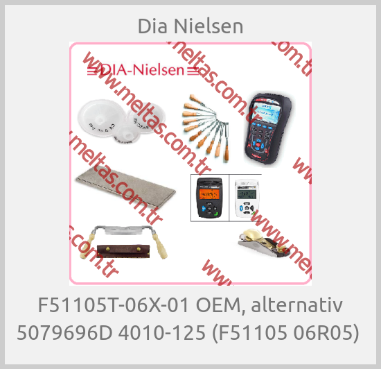 Dia Nielsen - F51105T-06X-01 OEM, alternativ 5079696D 4010-125 (F51105 06R05) 