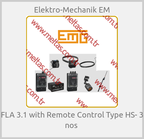 Elektro-Mechanik EM - FLA 3.1 with Remote Control Type HS- 3 nos 