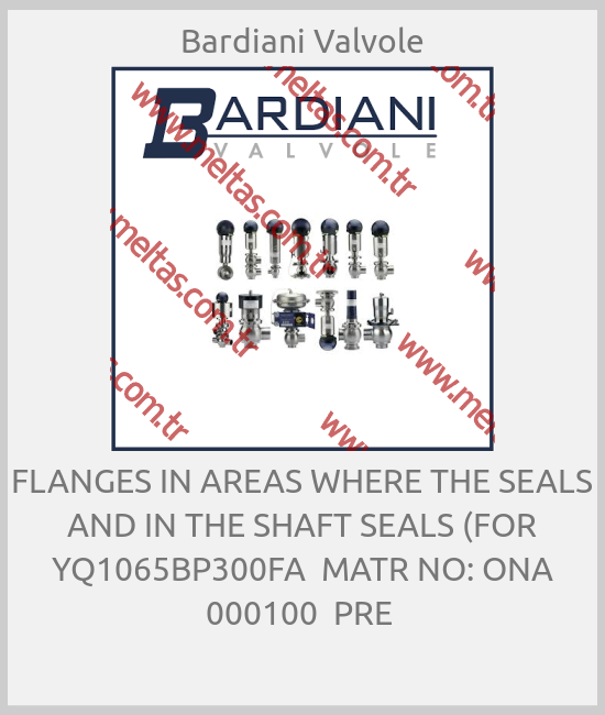 Bardiani Valvole - FLANGES IN AREAS WHERE THE SEALS AND IN THE SHAFT SEALS (FOR YQ1065BP300FA  MATR NO: ONA 000100  PRE 