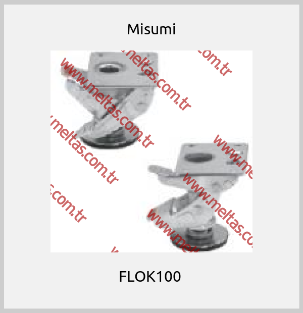 Misumi - FLOK100 