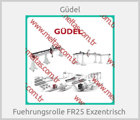 Güdel - Fuehrungsrolle FR25 Exzentrisch 