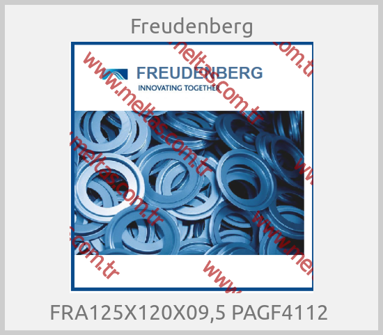 Freudenberg-FRA125X120X09,5 PAGF4112 