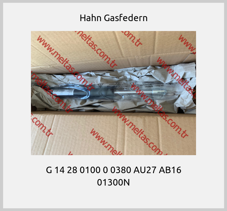 Hahn Gasfedern - G 14 28 0100 0 0380 AU27 AB16 01300N