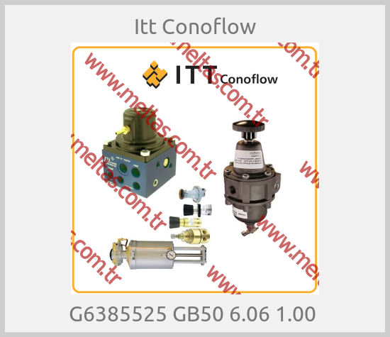 Itt Conoflow - G6385525 GB50 6.06 1.00 